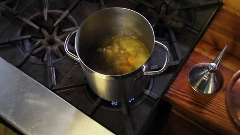 Stock-pot-on-stove-reducing