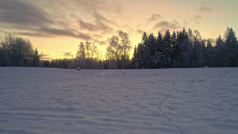 Snow-covered-landscape-at-sunset