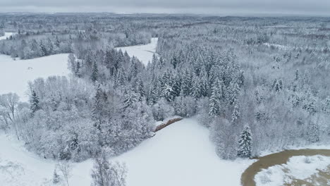 Winterwunderland-Mit-Schneebedeckter-Landschaft,-Bäumen-Und-Wald