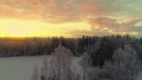 Golden-sky-sunset-over-remote-European-forest,-snow-covered-landscape,-drone