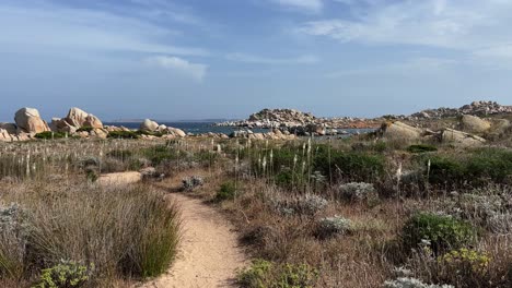 Sandy-path-leading-to-sea-on-remote-Lavezzi-French-island-between-Corsica-and-Sardinia,-France
