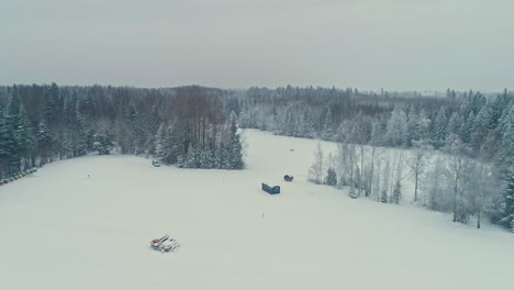 Invierno-Frío-Y-Condiciones-De-Nieve-En-El-Bosque-Europeo