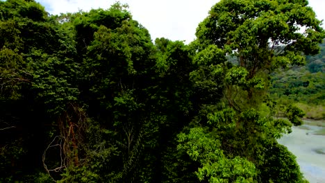 Aufsteigender-Schuss-über-Die-Spitze-Des-Dichten-Dschungels-Im-Penang-Nationalpark