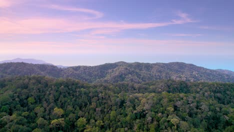 Aerial-flight-through-Penang-National-Park-with-a-warm-colourful-sky
