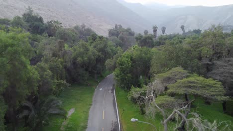 Drone-video-of-a-street-that-goes-through-a-forested-area-with-many-trees