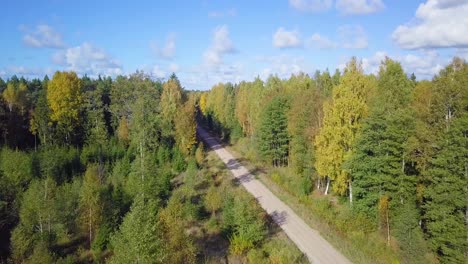 Early-autumn-in-forest,-aerial-top-view,-mixed-forest,-green-conifers,-deciduous-trees-with-yellow-leaves,-fall-colors-woodland,-nordic-forest-landscape,-wide-angle-establishing-shot-moving-forward