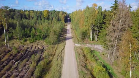 Early-autumn-in-forest,-aerial-top-view,-mixed-forest,-green-conifers,-deciduous-trees-with-yellow-leaves,-fall-colors-woodland-with-gravel-road,-nordic-forest-landscape,-wide-angle-establishing-shot