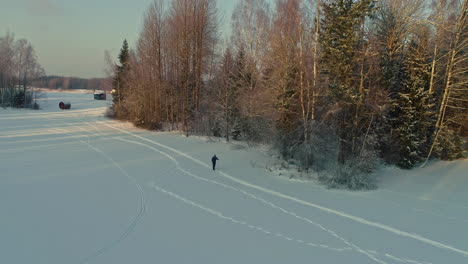 Aerial-drone-backward-moving-shot-of-a-man-skating-on-white-snow-covered-beside-a-coniferous-forest-at-daytime