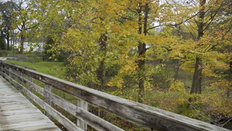 Walking-across-an-old-wooden-bridge-looking-at-trees-at-Wolcott-Mill-Metropark-in-Michigan