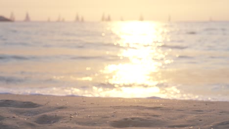 the-waves-and-sand-are-illuminated-golden-by-the-sunset,slowmotion
