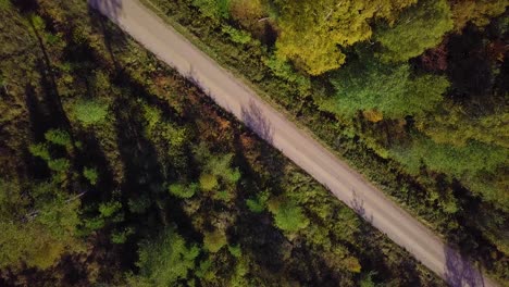 Early-autumn-in-forest,-aerial-top-view,-mixed-forest,-green-conifers,-deciduous-trees-with-yellow-leaves,-fall-colors-woodland,-nordic-forest-landscape,-gravel-road,-wide-birdseye-shot-moving-forward