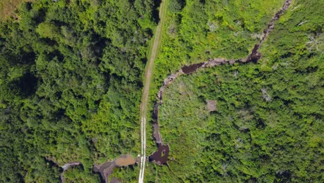 A-top-down-view-from-a-drone-of-a-dirt-road-passing-by-a-swampy-area