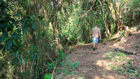Hombre-Caminando-Por-Senderos-En-El-Bosque,-Vida-Sana-En-La-Naturaleza,-Estilo-De-Vida-Saludable