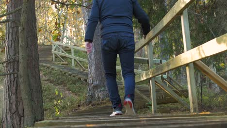 Back-view-of-caucasian-male-exploring-autumn-woods,-hiking-up-on-the-hill,-wooden-pathway-stairs,-walking-alone-in-the-coastal-pine-forest,-sunny-day,-healthy-activity-concept,-low-angle-medium-shot