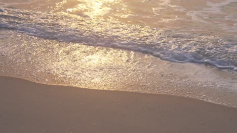 the-waves-and-sand-are-illuminated-golden-by-the-sunset,-slowmotion