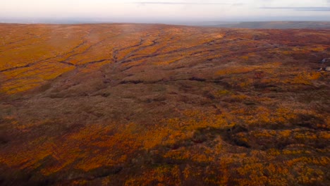 Drone-flyover-golden-scenery-on-mountaintop-of-Peak-District-in-England---Idyllic-vegetated-landscape