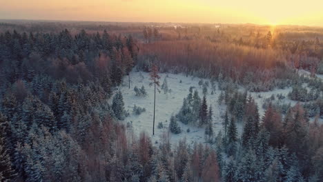 Drone-flying-over-snowy-forest-with-sunset-in-background