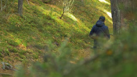 Back-view-of-caucasian-male-exploring-autumn-woods,-walking-alone-in-the-coastal-pine-forest,-sunny-day,-healthy-activity-concept,-distant-medium-shot