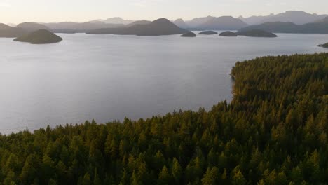 Die-Bc-Küstenwälder-Von-British-Columbia-In-Der-Nähe-Von-Vancouver-Island,-Kanada