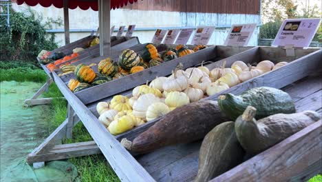 Calabazas-Y-Otras-Verduras-En-El-Mostrador-De-Un-Mercado-De-Agricultores