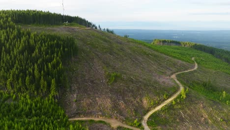 Clear-cutting-forests,-trees-logged-from-hillside-in-Vancouver-Island-British-Columbia