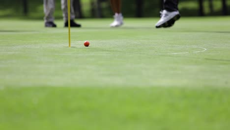 Golfer-misses-putt-on-the-green,-low-shot-and-reaction