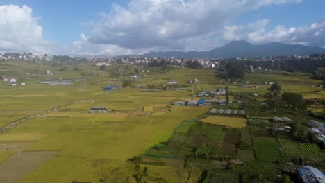 Fliegen-über-Die-Gelben-Reisterrassen-An-Den-Hängen-Der-Hügel-In-Nepal-Und-Die-Häuser-Und-Farmen