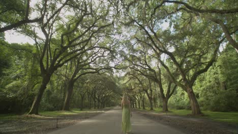 Young-woman-walks-between-Mossy-Trees-in-Wormsloe-Historic-Site,-static-wide