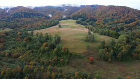Ein-Riesiger,-Mysteriöser-Berg,-Voller-Herbstfarben,-Umgeben-Von-Nebel