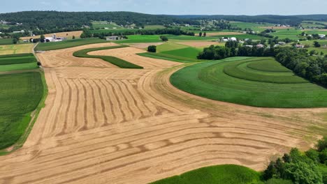 Ein-Luftbild-über-Das-üppig-Grüne-Ackerland-Im-Süden-Von-Lancaster-County,-Pennsylvania-An-Einem-Sonnigen-Sommertag