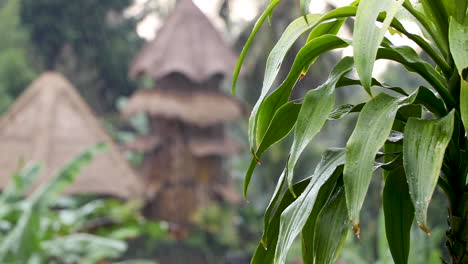 Primer-Plano:-Lluvia-Cayendo-Sobre-Una-Exuberante-Vegetación-Tropical-Con-Pagoda-Tradicional-De-Bambú-En-El-Fondo