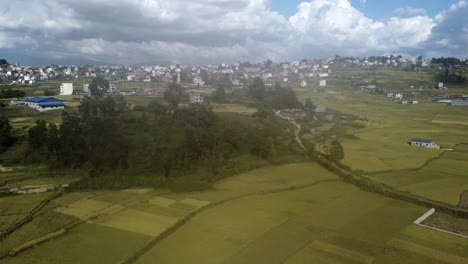 Volando-Sobre-Las-Terrazas-De-Arroz-Amarillo-En-Las-Laderas-De-Las-Colinas-En-Nepal-Y-Las-Casas-Y-Granjas