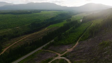 Logging-clear-cut-sections-on-a-mountain-in-BC