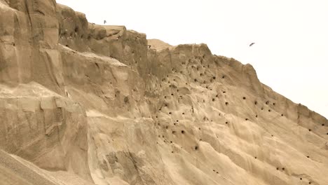 Big-colony-of-swallows-established-on-the-walls-of-a-sand-hill