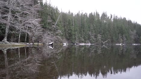 Man-fishing-in-lake,-winter-reflections