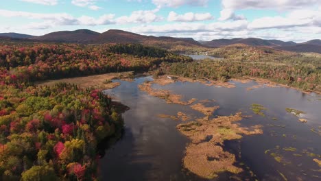 Ein-Sumpf-Im-Herbst-In-Quebec,-Kanada