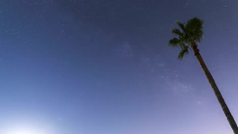 Milky-Way-moves-across-clear-sky-with-single-large-palm-in-the-right-foreground