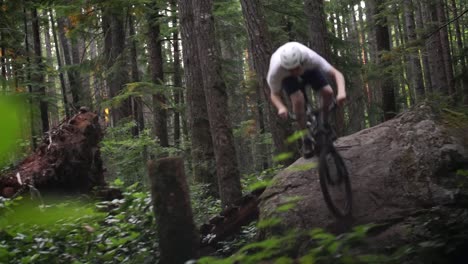 MTB-trail-riding-rock-drop