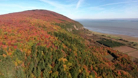 Die-Wälder-In-Quebec-Färben-Sich-Im-Herbst-Rot-Und-Gelb