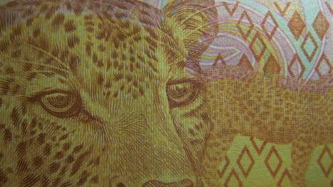 Esta-Es-La-Vista-Macro-De-Un-Billete-De-Papel-Normal--Dinero--Moneda-De-200-Rand-Sudafricano
