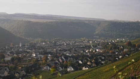 Weinberg-Auf-Steilen-Hügeln-über-Einem-Fluss-Im-Herbst-Nach-Sonnenaufgang