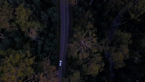 Top-down-aerial-footage-of-2-cars-driving-down-a-dark-spooky-forest-road