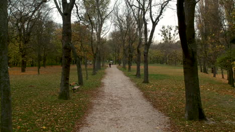 Aerial-shot-of-path-between-autumn-trees-in-Prater,-Vienna,-Austria,-person-walking-in-the-distance