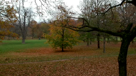 Aerial-shot-of-autumn-trees-in-Prater,-Vienna,-Austria-rising-from-ground-level-through-branches