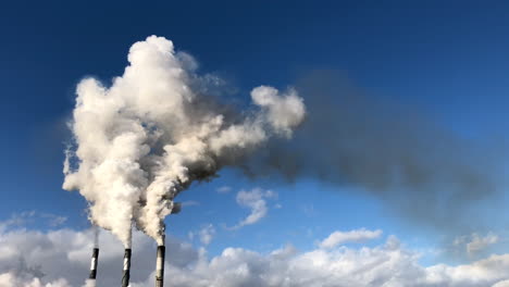 Thick-white-smoke-from-pouring-from-industry-factory-smoke-stack-pipes-against-blue-sky
