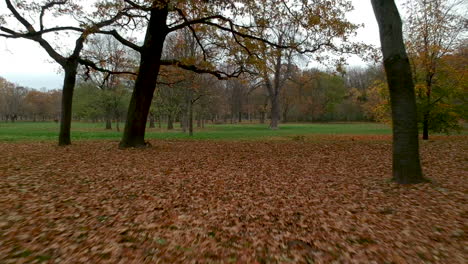 Shot-of-autumn-leaves-on-lush-green-grass-in-Prater,-Vienna,-Austria-flying-backwards-close-to-the-ground