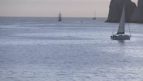 Wunderschöner-Buckelwal,-Der-Einem-Segelboot-In-Den-Hafen-Von-Cabo-San-Lucas-Mexiko-Folgt