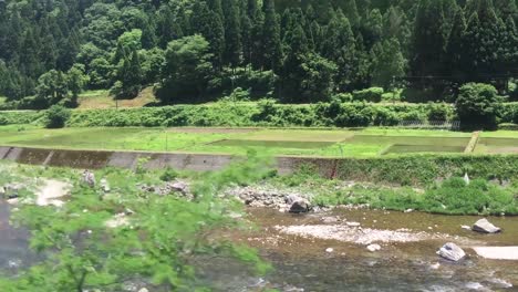 Japanese-mountain-train-travels-along-side-a-shallow-river