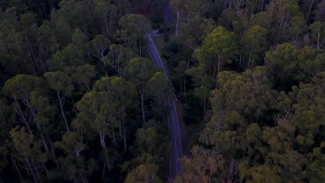 Aerial-footage-paning-forward-of-busy-road-through-dark-forest-at-night