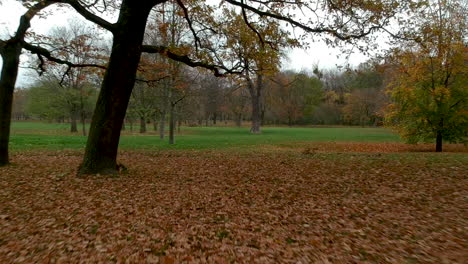Shot-of-autumn-leaves-in-front-of-green-open-park-in-Prater,-Vienna,-Austria-flying-forwards-close-to-the-ground
